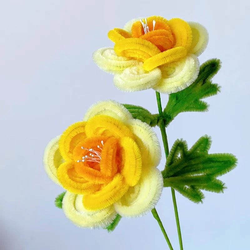 Gradient Rose DIY Kit